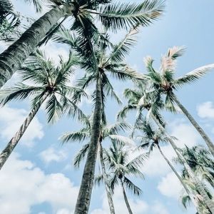 Meet your Posher, Georgia